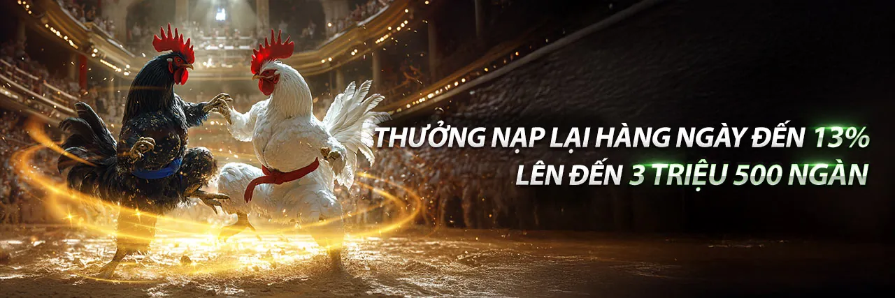 Tổng quan về nền tảng giải trí trực tuyến RL79