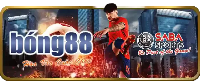 Liên hệ qua Email